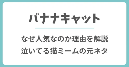 バナナキャットはなぜ人気？理由や泣いてる猫ミームの元ネタ