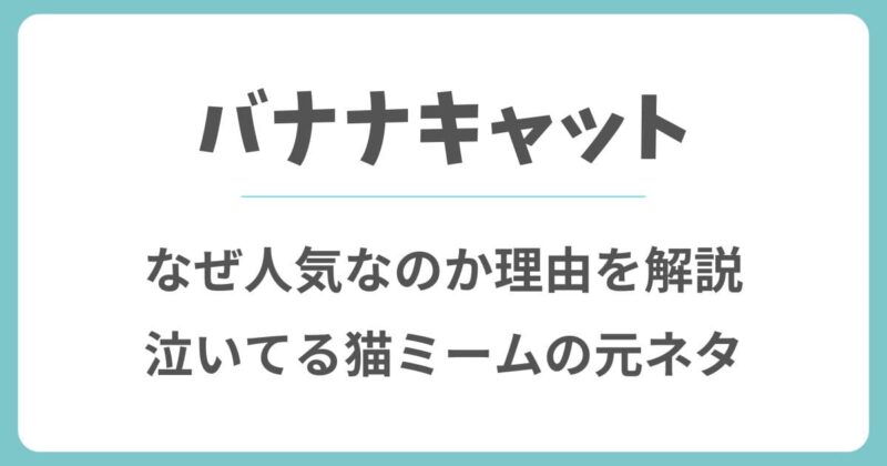 バナナキャットはなぜ人気？理由や泣いてる猫ミームの元ネタ